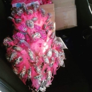 Hantaran Bajet